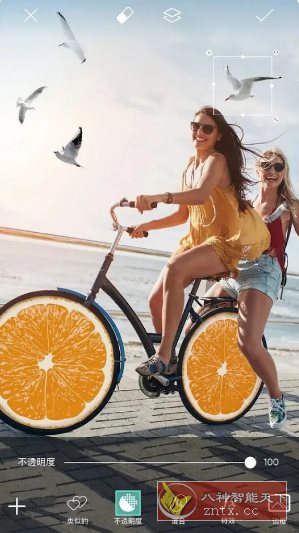 Picsart美易 v27.8.7高级版-云网创