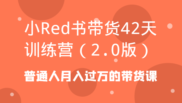 小Red书带货42天训练营(2.0版)普通人月入过万的带货课-云网创