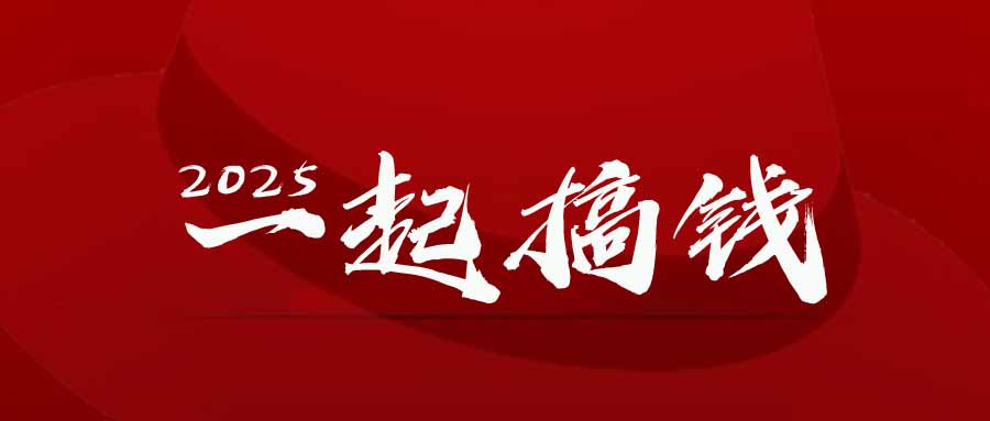 2025年，请“不择手段”去搞钱!-云网创