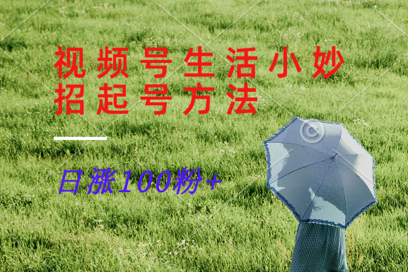 视频号生活小妙招分享赛道, 起号涨粉新方法,日涨100粉-云网创