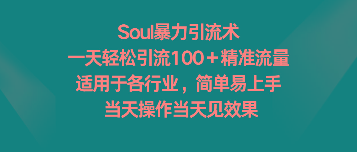 Soul暴力引流术，一天轻松引流100＋精准流量，适用于各行业，简单易上手！-云网创
