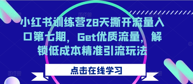 小红书训练营28天撕开流量入口第七期，Get优质流量，解锁低成本精准引流玩法-云网创