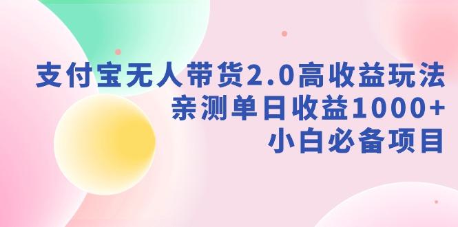 支付宝无人带货2.0高收益玩法，亲测单日收益1000+，小白必备项目-云网创
