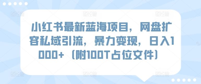 小红书最新蓝海项目，网盘扩容私域引流，暴力变现，日入1000+(附100T占位文件)【揭秘】-云网创
